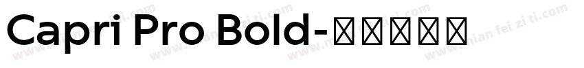 Capri Pro Bold字体转换